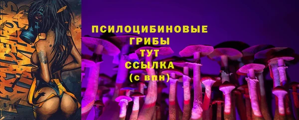 Альфа ПВП Кинешма